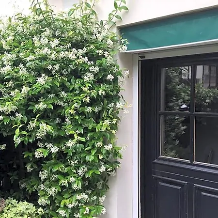 1 Square Du Docteur Blanche - 16 Bed and breakfast París