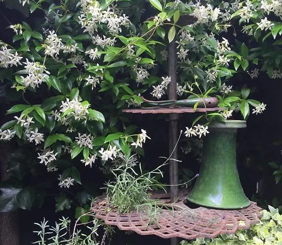 1 Square Du Docteur Blanche - 16 パリ