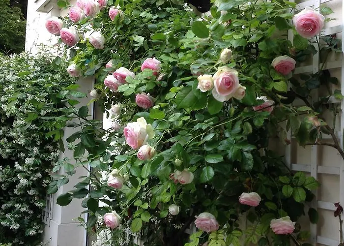 1 Square Du Docteur Blanche - 16 4*